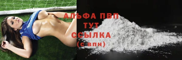 стаф Вяземский
