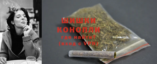 стаф Вяземский