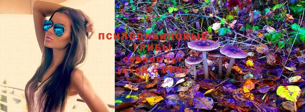 прущая мука Вязьма
