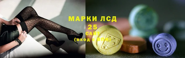 стаф Вяземский