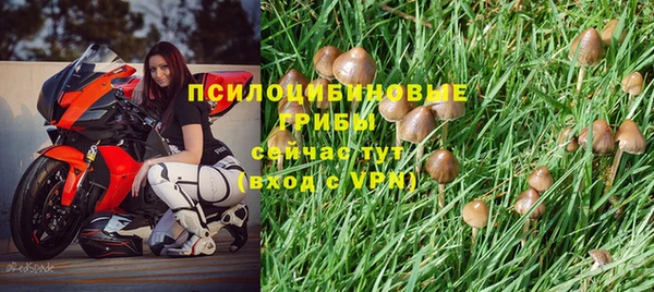 ГАЛЛЮЦИНОГЕННЫЕ ГРИБЫ Волосово