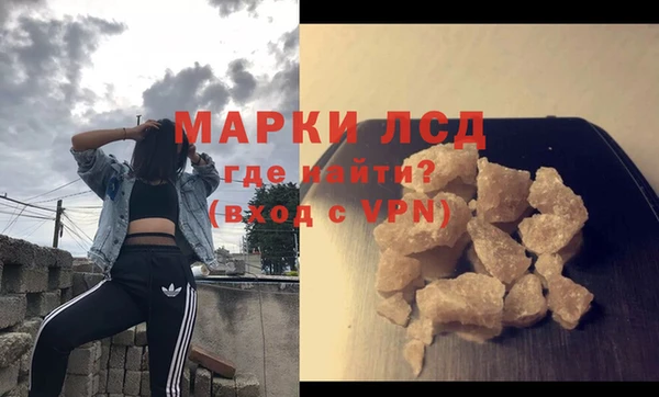стаф Вяземский